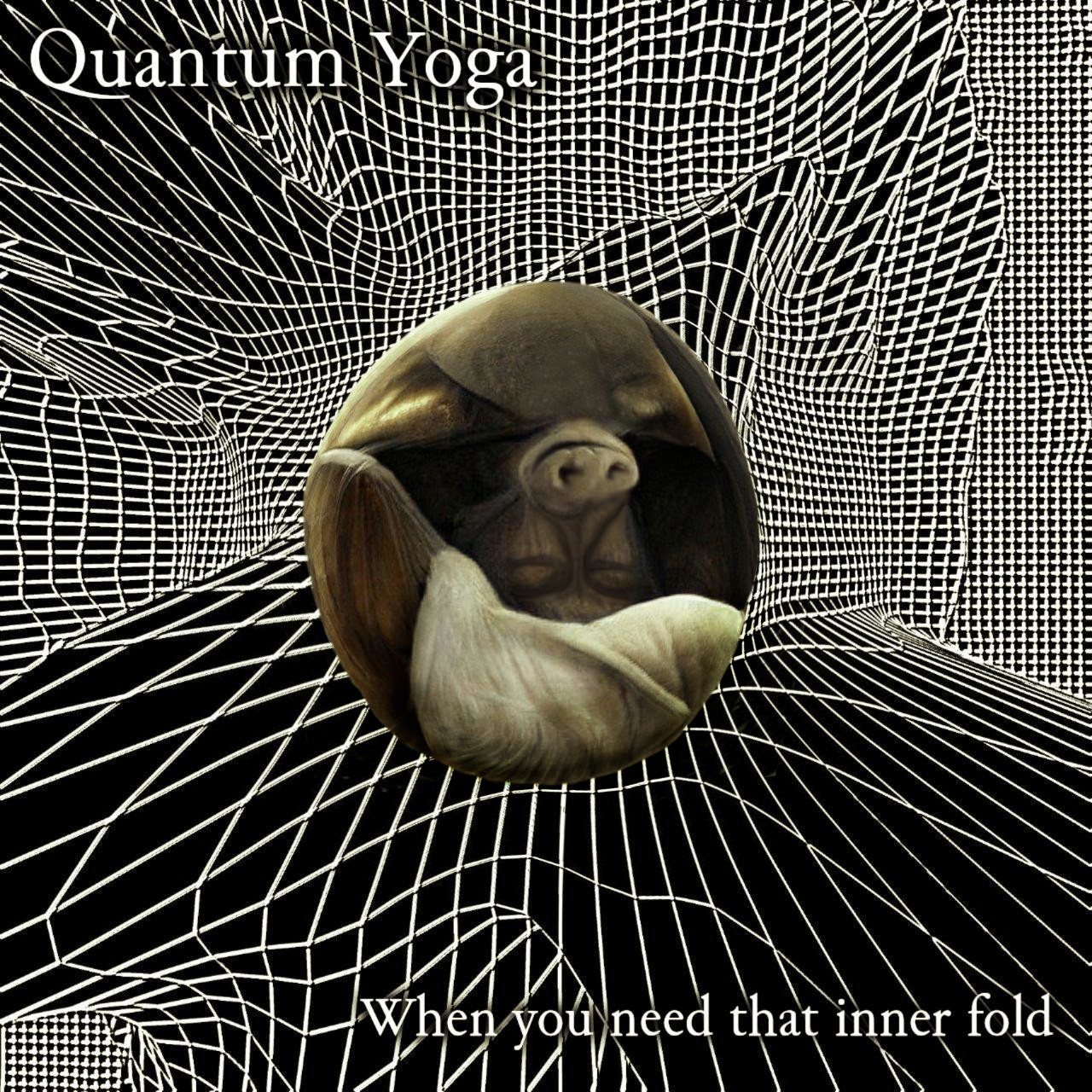 quantum_yoga.jpg